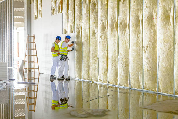 Best Attic Insulation Installation  in Middlesex, NC